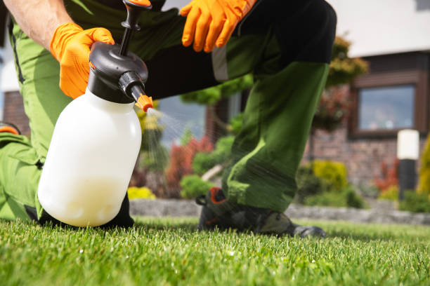 Best Commercial Pest Control Services  in Clearwater, MN