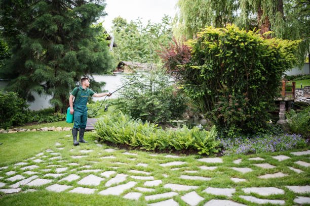Best Pest Prevention Services  in Clearwater, MN