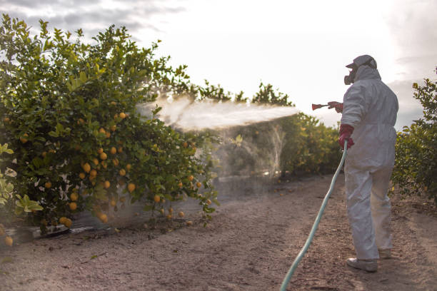 Best Emergency Pest Control  in Clearwater, MN