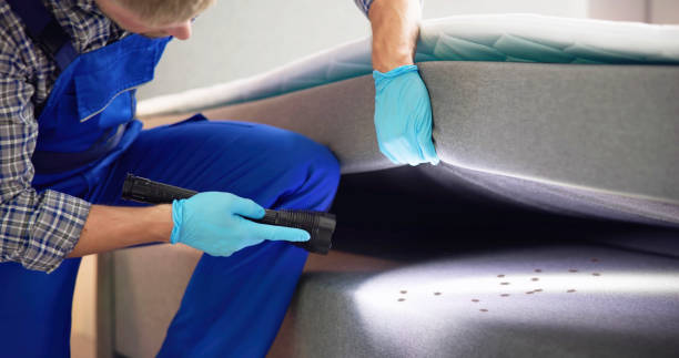 Pest Control for Restaurants in Clearwater, MN
