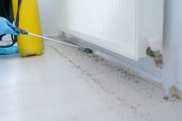 Best Pest Removal Services  in Clearwater, MN
